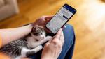 Pet Health and Wellness Resources