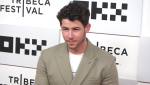 Nick Jonas, Brittany Snow, David Arquette, and Matt Walsh at Tribeca Film Festival Premiere of The Good Half