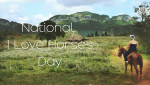 National I Love Horses Day