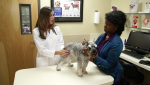 Companion Animal Parasite Council