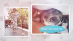 Guess that Celeb Pet