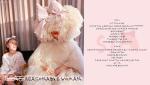 Sia announces new album Reasonable Woman to be released May 3