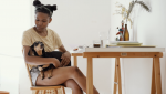 Keep Your Pets and Household Healthy and Safe