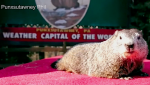Groudhog Day 2021: Punxsutawney Phil’s Prediction
