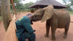 International Fund for Animal Welfare, IFAW