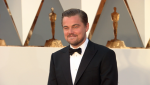 Leonardo DiCaprio