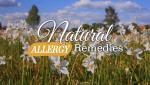 Natural Allergy Remedies 