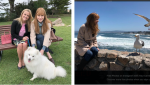 See Monterey