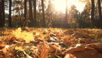Skincare Tips for Self-Improvement Month