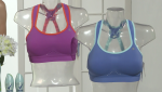 Champion Warrior sports bra