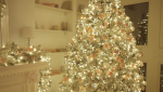 5 Tips for Tree Lighting