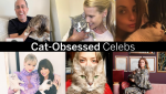 World Cat Day, International Cat Day, Cat, Cats, Felines, Miley Cyrus, Lea Michele, Drew Barrymore, Kourtney Kardashian, Norman Reedus, Taylor Swift, Alexa Ray Joel, Amanda Seyfried, Ed Sheeran, Howard Stern, Beth Stern, lifeminute, lifeminute.tv