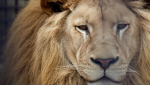 5 Ways To Harness Confidence 