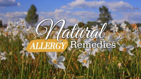 Natural Allergy Remedies 