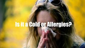 Is it a Cold or Allergies Here s What You Need to Know