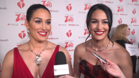 The Bella Twins Ryan Seacrest Austin Mahone Dylan Sprouse and Barbara Palvin Talk Valentine s Day
