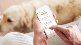 A New Digital Platform for Pet Lovers