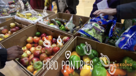 Facts About Feeding America and Great Ways You Can Get Involved