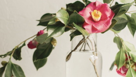 Beauty Innovations Good for You and the Environment