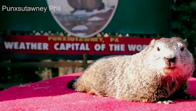Groundhog Day 2021 Punxsutawney Phil s Prediction
