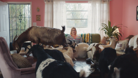 Unique Small Businesses Get Commercial Spot During Big Game