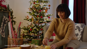 Tips for a Happy and Safe Holiday Season