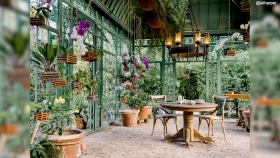 Micro Gardens