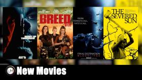 New Movies Hurry Up Tomorrow Final Destination Bloodlines A Breed Apart and The Severed Sun
