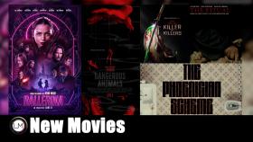 New Movies From the World of John Wick Ballerina Dangerous Animals Predator Killer of Killers The Phoenician Scheme and The Ritual