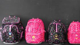 The Backpack Turns 50 Years Old