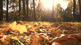 Skincare Tips for Self-Improvement Month