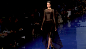 NYFW Spring 2014 Vera Wang Shes So Transparent
