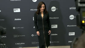 Julia Louis-Dreyfus Defines What Personal Success Means for Her at World Premiere of New Film You Hurt My Feelings